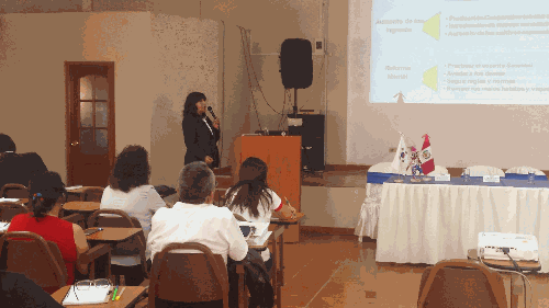 Peruvian alumni present at capacity development workshop in Huanuco